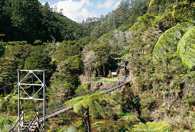 karangahake-gorge