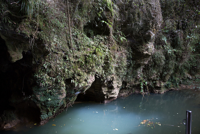 waitomo-caves