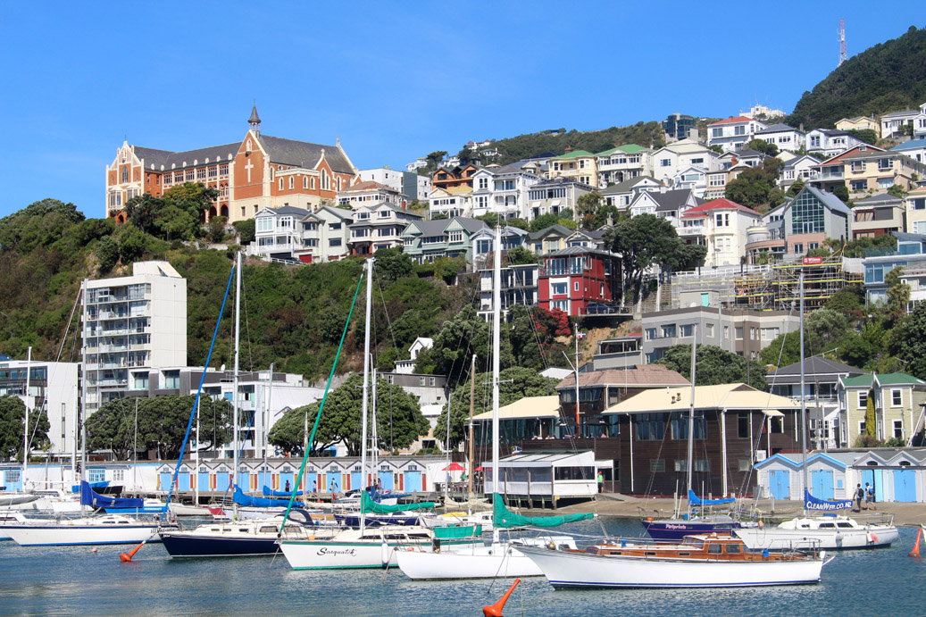 ships-in-the-bay-in-wellington-new-zealand