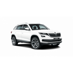 SUV (Tiguan) or similar