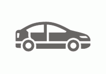 A budget car with four doors and a separate trunk.Suit for 4 adults and 2 medium-size hard suitcases. NO pet allowed.